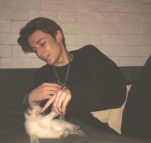 Ảnh đại diện người dùng Minh Đức