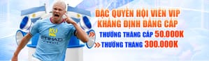 Trải nghiệm giải trí đỉnh cao